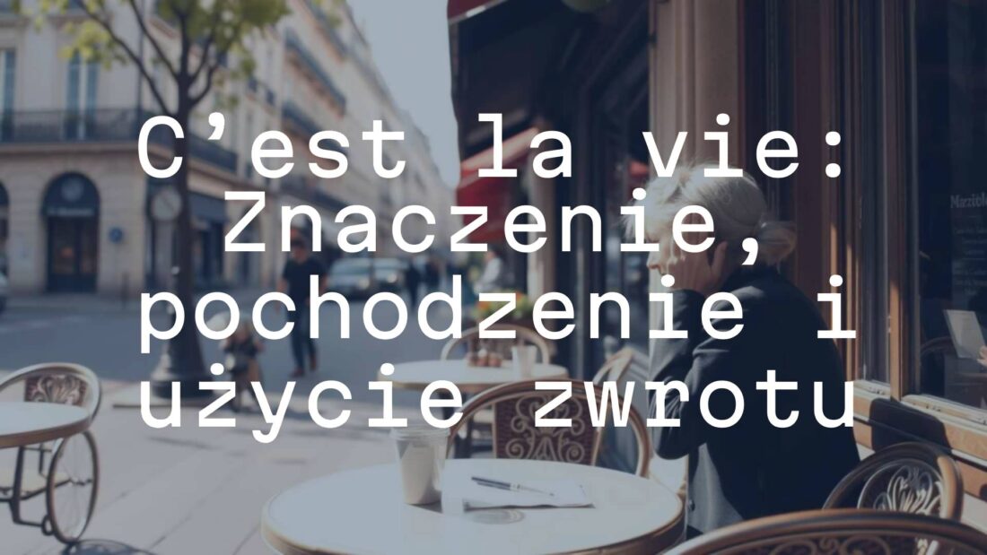 A serene French café scene with a person shrugging, Parisian street in background, soft sunlight, phrase 'c’est la vie' floating elegantly, vintage artistic style.